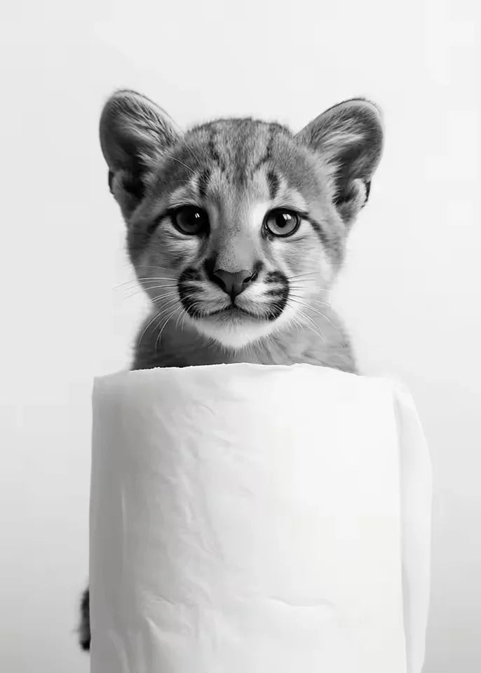 Animal Bathroom Toilet Paper Canvas Painting Poster Otter Hedgehog Giraffe Gift Wall Room Home Decor Black White Print Modern