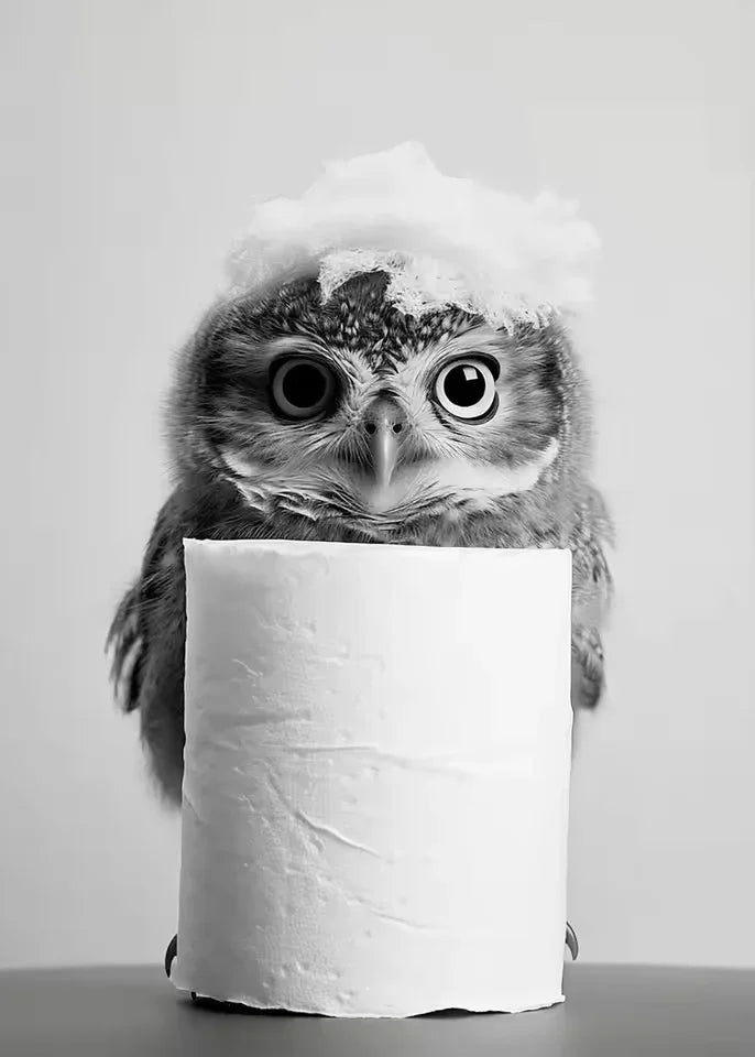 Animal Bathroom Toilet Paper Canvas Painting Poster Otter Hedgehog Giraffe Gift Wall Room Home Decor Black White Print Modern